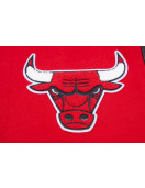 Chicago Bulls Classic Red Wool Varsity Jacket