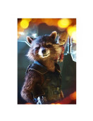 Guardians of Galaxy Avengers Rocket Raccoon Leather Vest