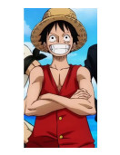 MONKEY D. LUFFY ANIME RED VEST