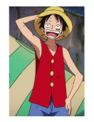 MONKEY D. LUFFY ANIME RED VEST