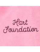 Foundation Bret Hart Pink Varsity Jacket – Retro Wrestling Fan Gear Foundation Bret Hart Pink Varsity Jacket – Retro Wrestling Fan Gear